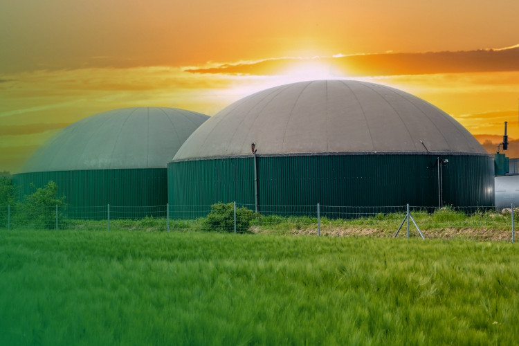 bzkenergy.pl bzkenergy.pl