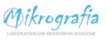 Mikrografia