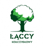 Łąccy - Kołczygłowy