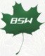 BSW