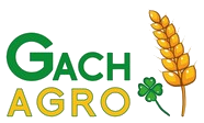 Gach-Argo